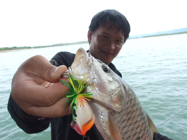 เขื่อนศรีล่าสุด  โดนหมอสีบุก