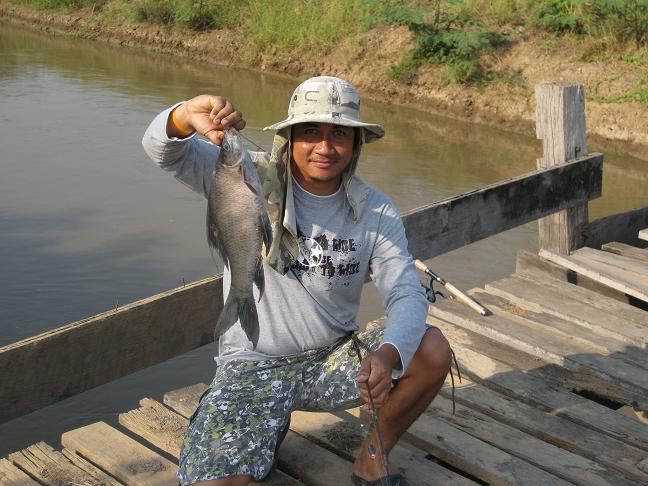 ไม้เดียวตัวเดียว