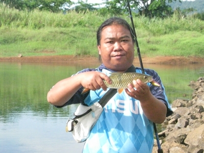 กระสูบน้อย.....ในวันฝนตก