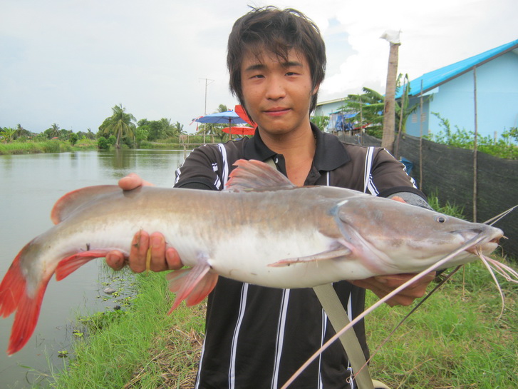 บ่อชะโดโทรฟี่ ขอแจ้งเกิด ที่เทกซัสชวนชม
