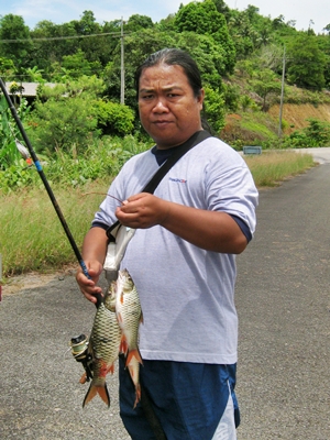 คีรีธาร...ฟีเวอร์ 