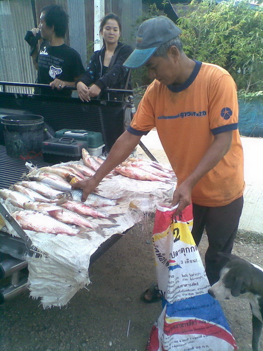 เรือนแพ ฟิชชิ่ง  อัพเดท 3มิ.ย.