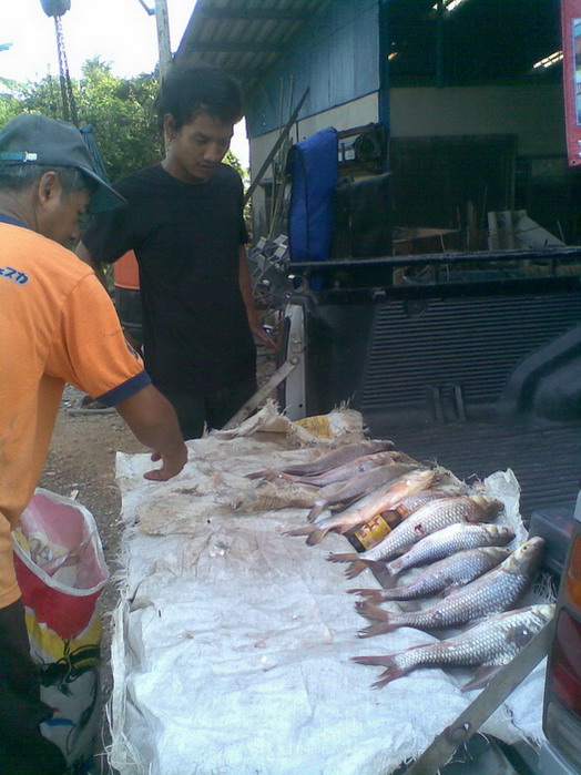 เรือนแพ ฟิชชิ่ง  อัพเดท 3มิ.ย.