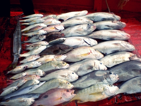 ทริปวันว่างๆๆที่ปรานบุรีกับไต๋โอ๋