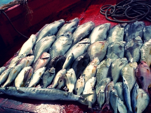 ทริปวันว่างๆๆที่ปรานบุรีกับไต๋โอ๋