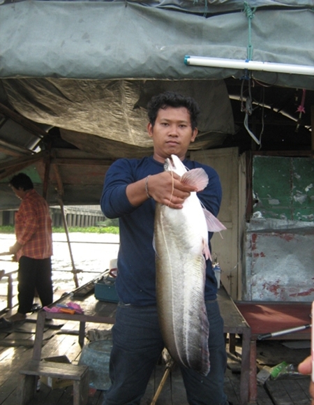 เค้ามาได้ไงที่แพลุงแก่บางไทร