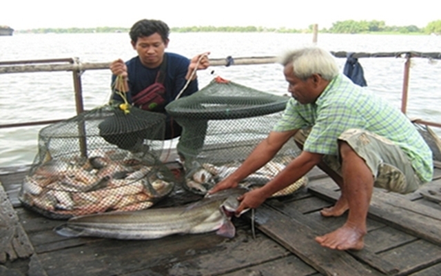 เค้ามาได้ไงที่แพลุงแก่บางไทร