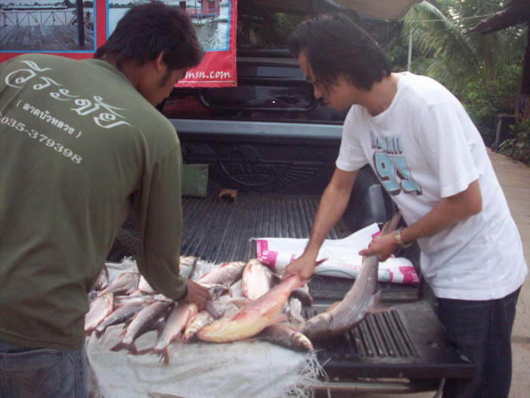 เรือนแพ Fishing   7/06/2010