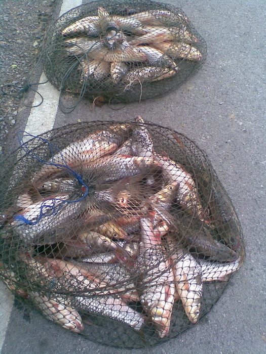 เรือนแพ Fishing   8 มิ.ย. 53