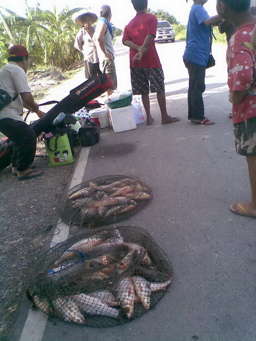 เรือนแพ Fishing   8 มิ.ย. 53