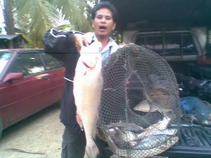 เรือนแพ Fishing   8 มิ.ย. 53