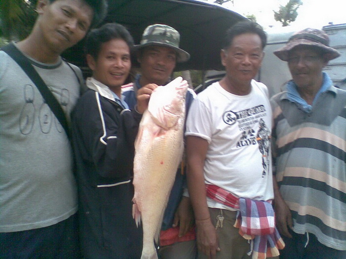 เรือนแพ Fishing   8 มิ.ย. 53