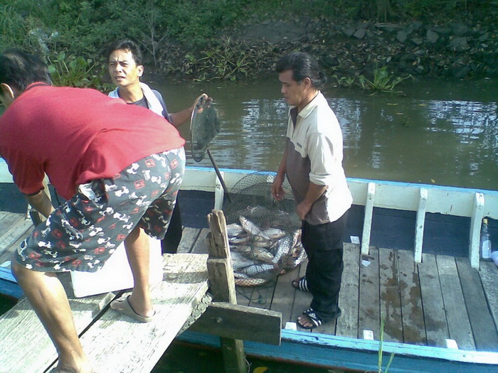 เรือนแพ Fishing   8 มิ.ย. 53