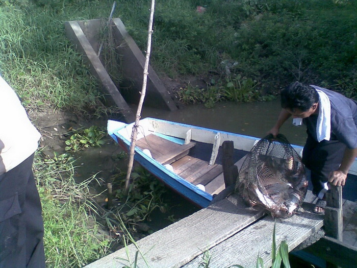 เรือนแพ Fishing   8 มิ.ย. 53