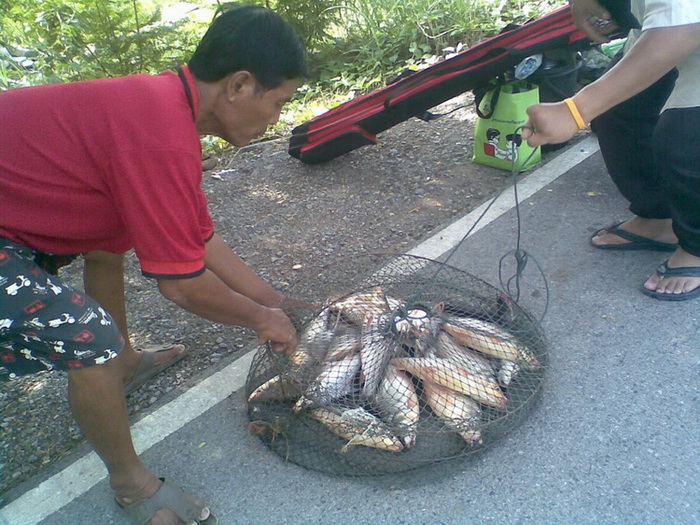 เรือนแพ Fishing   8 มิ.ย. 53