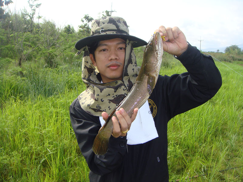 ตามล่าไอ้ช่อน เมืองเลย