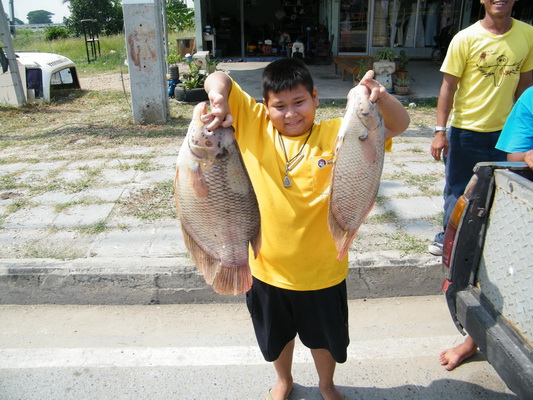 เพื่อนมาโชว์ครับ  จาก  PFC  ผักไห่ฟิชชิ่งขรับ  