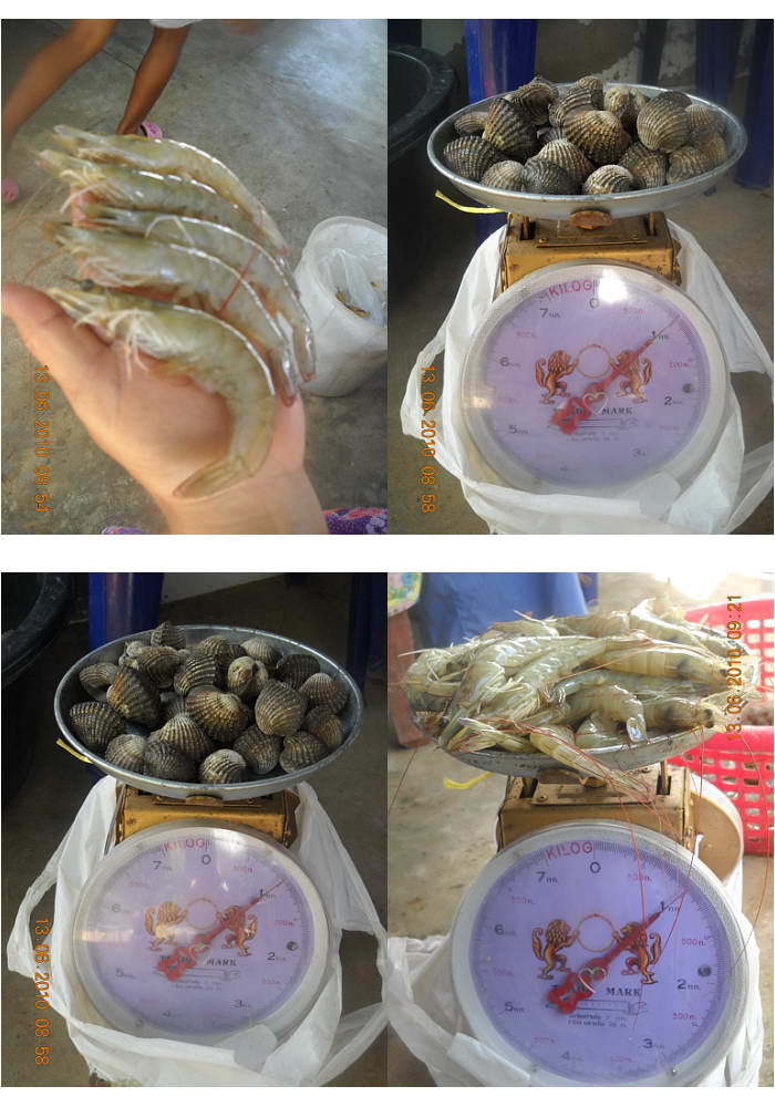 ไปกิน "Big Shell." ย่างที่บ่อลุงดำ