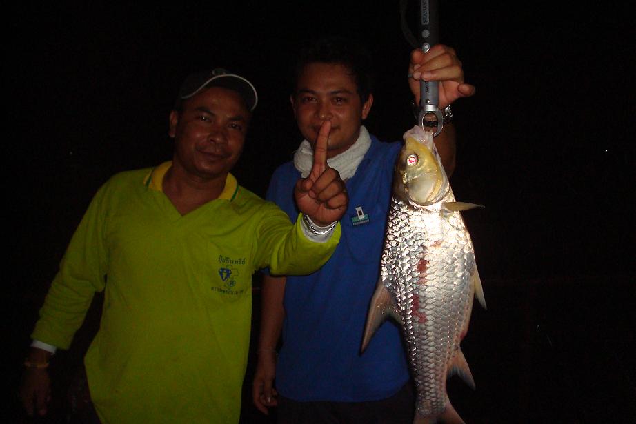 ฟ้าสางที่บางไทร โดย ขุนรัตนาวุธ