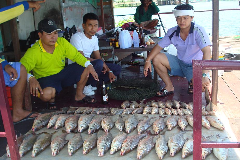 ฟ้าสางที่บางไทร โดย ขุนรัตนาวุธ