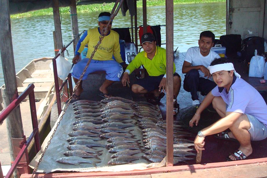 ฟ้าสางที่บางไทร โดย ขุนรัตนาวุธ