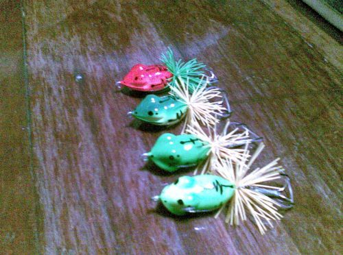 กบ...อีกแล้วครับท่าน(ทำสีแล้ว...พาเพื่อนมาด้วย)