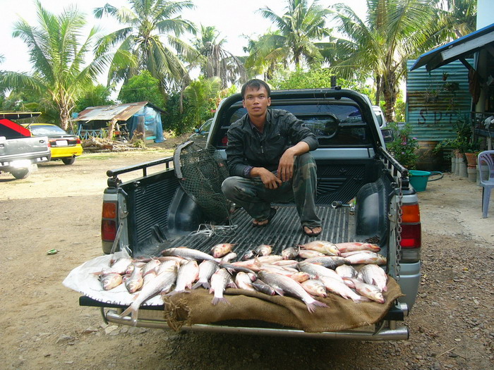 เรือนแพฟิชชิ่ง 15/6/2010