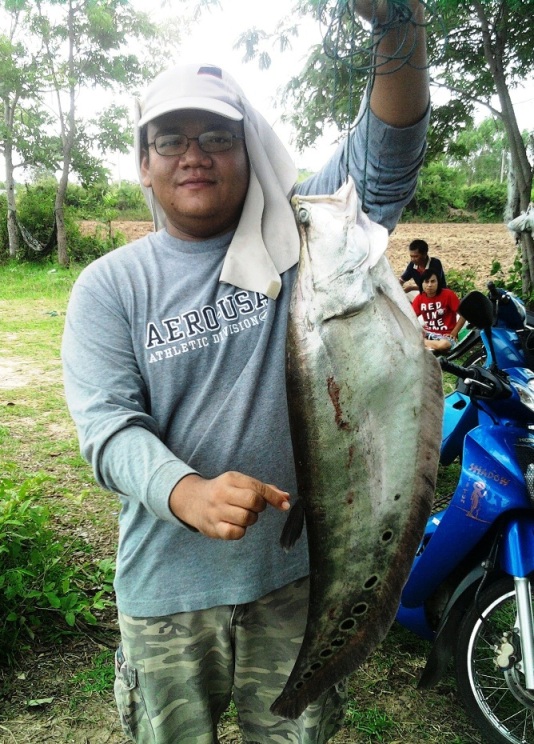 มูลิเวอร์ 2553