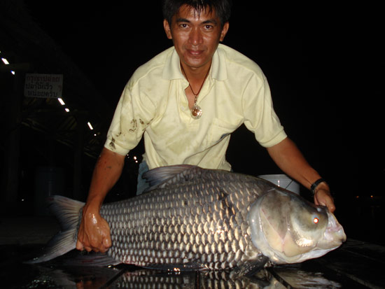 กาลครั้งหนึ่งกับกระโห้......บึงสำราญ