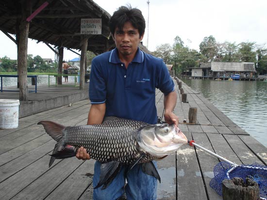กาลครั้งหนึ่งกับกระโห้......บึงสำราญ