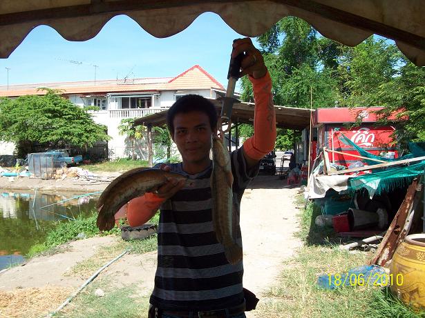 เข้าบ่อไปแก้คันมือครับ