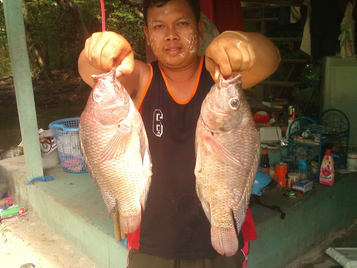 ช่อน กับ ฟ้าหลังฝน ณ ลำนกแขวก