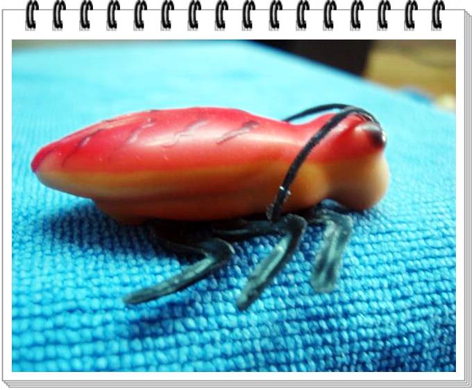 What is it?  เหยื่อยางอีกแล้ว ฮิฮิ