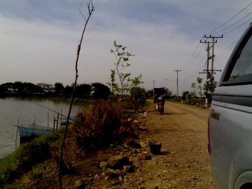 ใหญ่จริง ที่หนอง 7เส้น