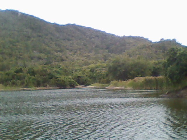 ปลาช่อนเขาสูง