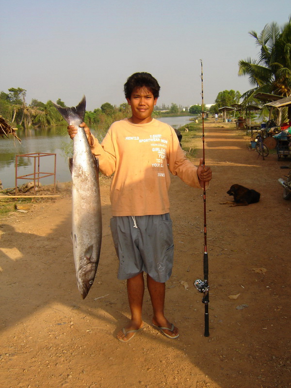 ของปี51.52มาโชว์53