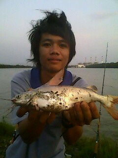 หางกิ่วบางปะกง