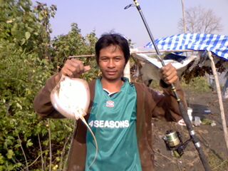 หางกิ่วบางปะกง