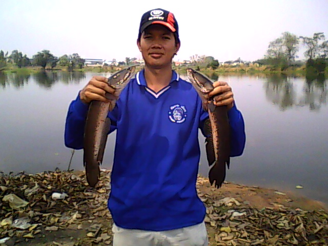 บิ๊กช่อนหนองกะบุด