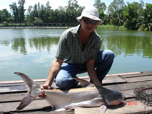 ปลาสวยงาม จากบ่อเจ๊เอ็ง สามโคก