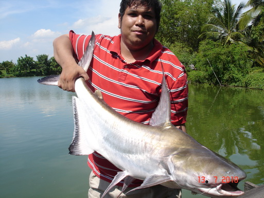 ปลาสวยงาม จากบ่อเจ๊เอ็ง สามโคก