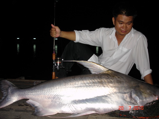 ปลาสวยงาม จากบ่อเจ๊เอ็ง สามโคก