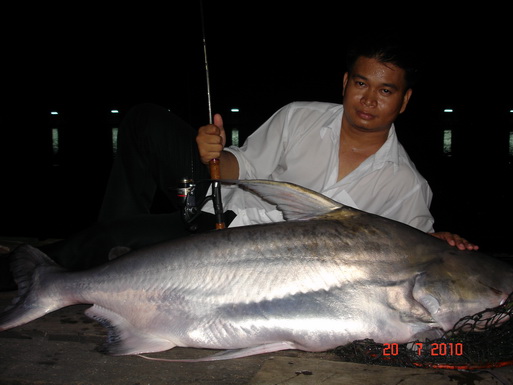 ปลาสวยงาม จากบ่อเจ๊เอ็ง สามโคก