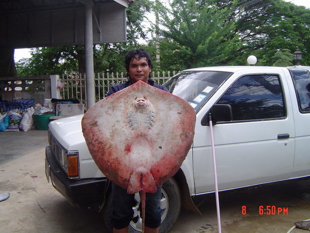 ทะเลปราณ