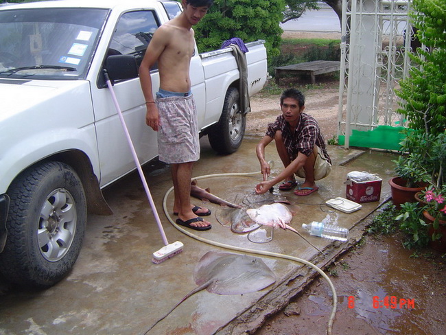 ทะเลปราณ