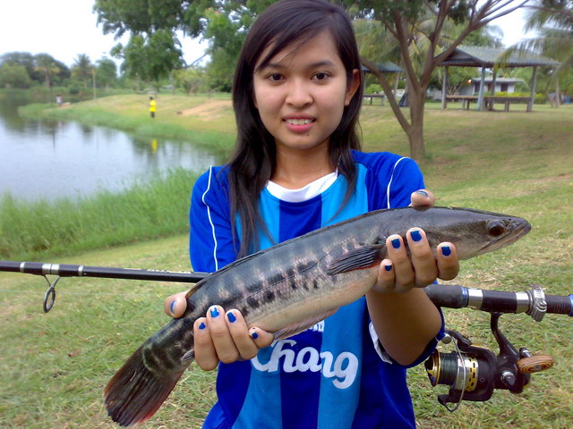 นู๋...ตกชะโด  ซุ้มข้างๆ ตกกะพง ค่ะ......
