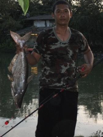บึงบางรัก บางบัวทอง
