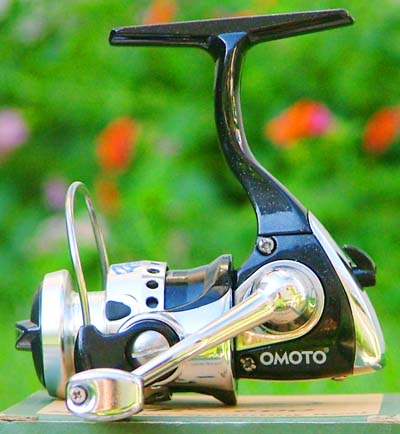 omoto ye 600