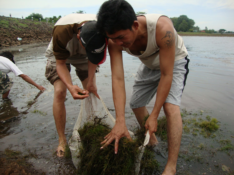 นักล่าไอ้ลาย บุรีรัมย์  04-07/01-08/2010