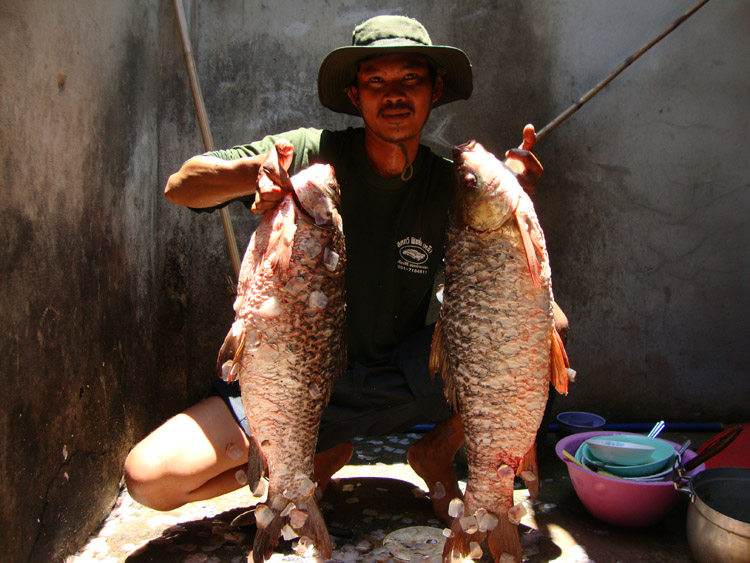 นักล่าไอ้ลาย บุรีรัมย์  04-07/01-08/2010